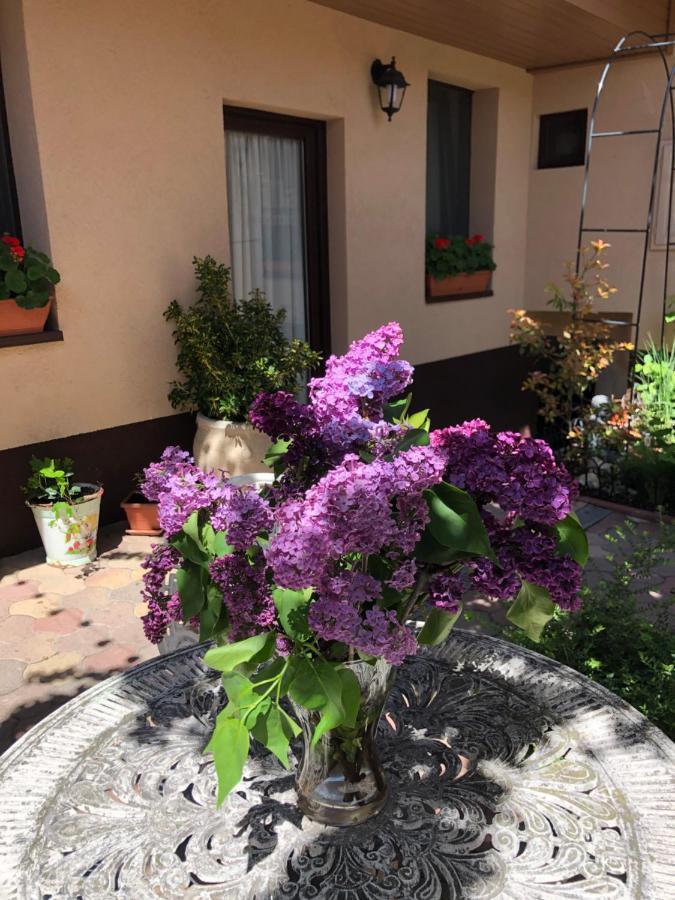 Milla Apartman Szentendre Exterior photo